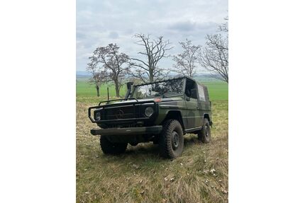 Mercedes-Benz G 250 Gebrauchtwagen