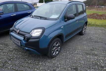 Fiat Panda Gebrauchtwagen