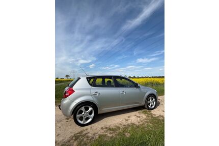 Kia ceed / Ceed Gebrauchtwagen