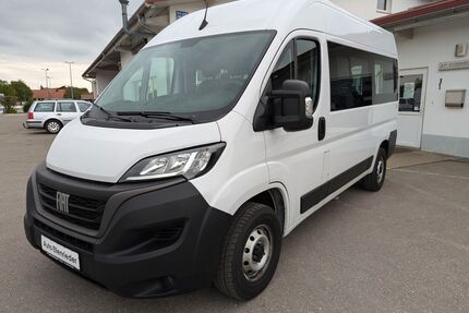 Fiat Ducato Gebrauchtwagen