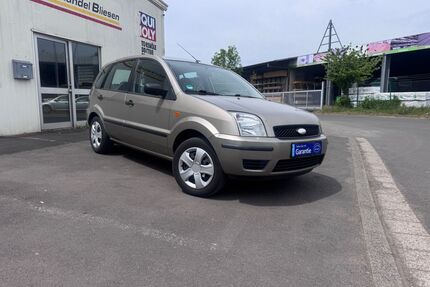 Ford Fusion Gebrauchtwagen