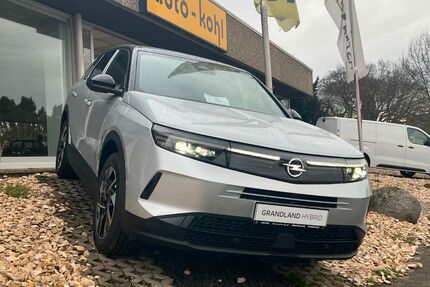 Opel Grandland (X) Gebrauchtwagen