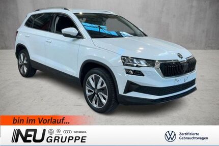 Skoda Karoq Gebrauchtwagen