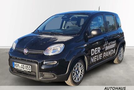 Fiat Panda Gebrauchtwagen