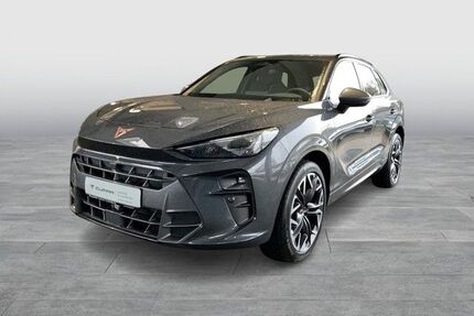 Cupra Terramar Gebrauchtwagen