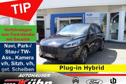 Ford Kuga Gebrauchtwagen
