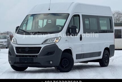 Fiat Ducato Gebrauchtwagen