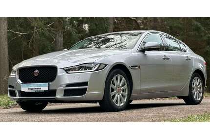 Jaguar XE Gebrauchtwagen