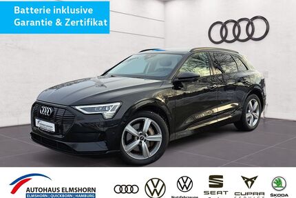 Audi e-tron Gebrauchtwagen