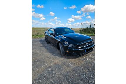 Ford Mustang Gebrauchtwagen