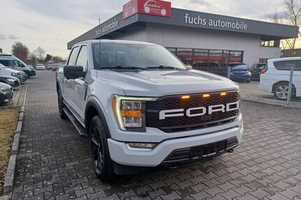 Ford F 150 Gebrauchtwagen