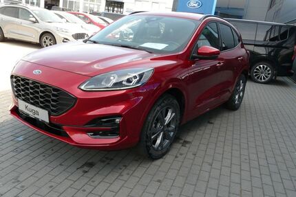 Ford Kuga Gebrauchtwagen