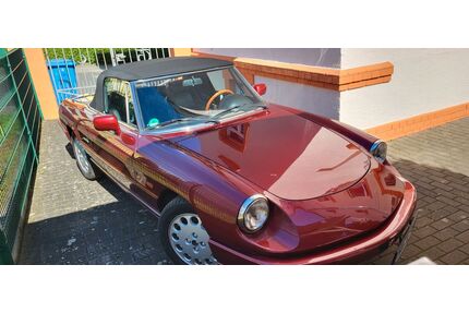 Alfa Romeo Spider Gebrauchtwagen