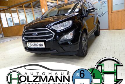 Ford EcoSport Gebrauchtwagen