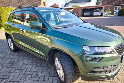 Skoda Karoq Gebrauchtwagen