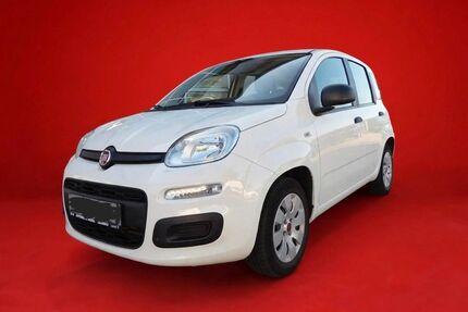 Fiat Panda Gebrauchtwagen