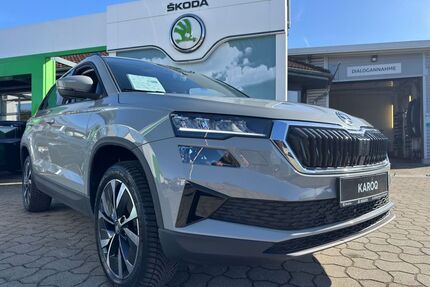 Skoda Karoq Gebrauchtwagen