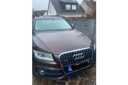 Audi Q5 Gebrauchtwagen