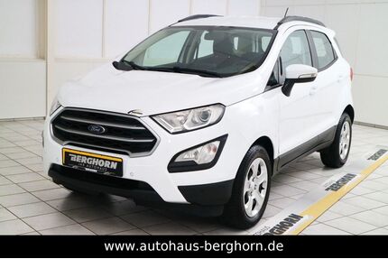 Ford EcoSport Gebrauchtwagen