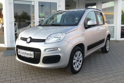 Fiat Panda Gebrauchtwagen