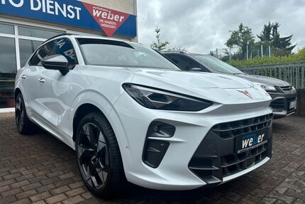 Cupra Terramar Gebrauchtwagen