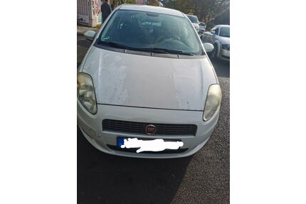 Fiat Punto Gebrauchtwagen