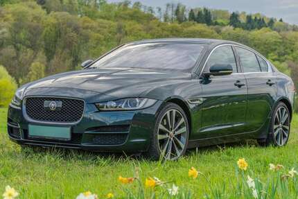 Jaguar XE Gebrauchtwagen