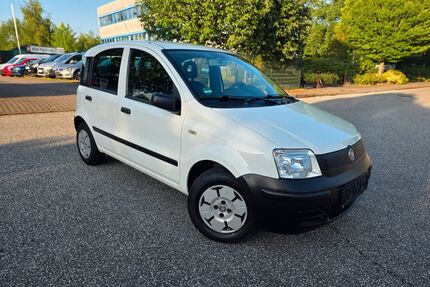 Fiat Panda Gebrauchtwagen