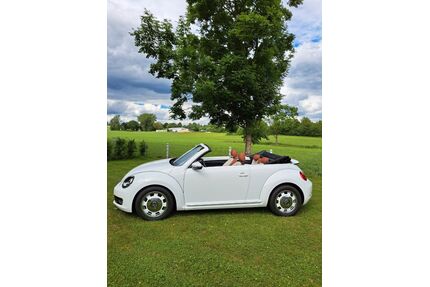 VW Beetle Gebrauchtwagen
