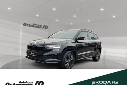Skoda Karoq Gebrauchtwagen