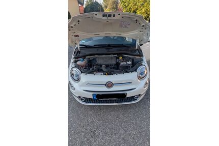 Fiat 500 Gebrauchtwagen