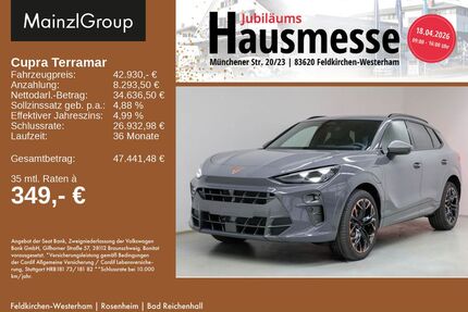 Cupra Terramar Gebrauchtwagen