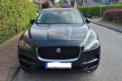 Jaguar F-Pace Gebrauchtwagen