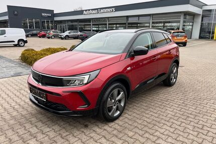 Opel Grandland (X) Gebrauchtwagen
