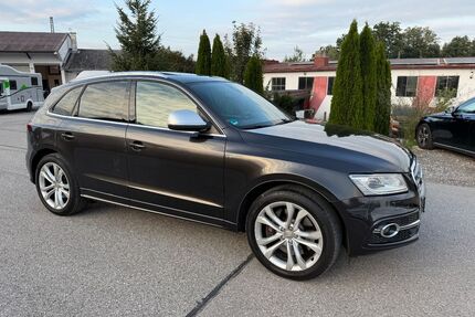 Audi SQ5 Gebrauchtwagen