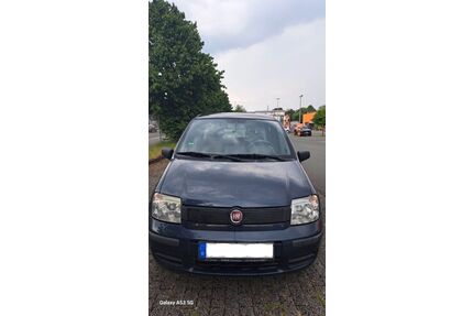 Fiat Panda Gebrauchtwagen