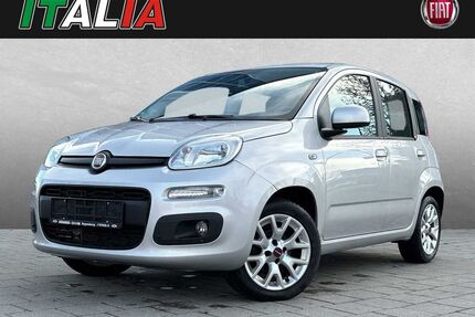 Fiat Panda Gebrauchtwagen