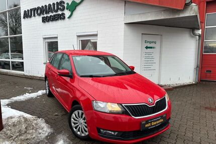 Skoda Rapid Gebrauchtwagen