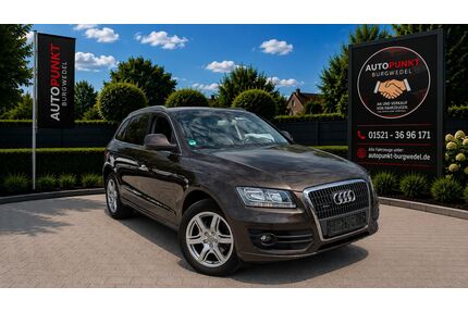 Audi Q5 Gebrauchtwagen