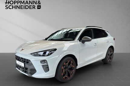 Cupra Terramar Gebrauchtwagen