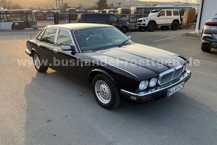 Jaguar XJ40 Gebrauchtwagen