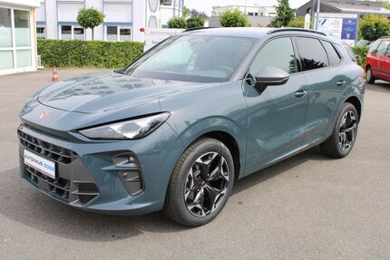 Cupra Terramar Gebrauchtwagen