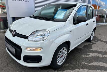 Fiat Panda Gebrauchtwagen