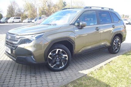 Subaru Forester Gebrauchtwagen