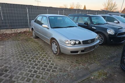 Toyota Corolla Gebrauchtwagen