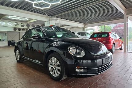 VW Beetle Gebrauchtwagen