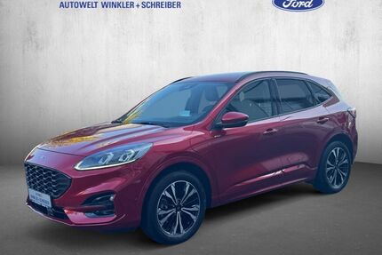 Ford Kuga Gebrauchtwagen