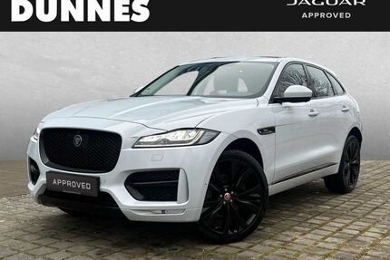 Jaguar F-Pace Gebrauchtwagen
