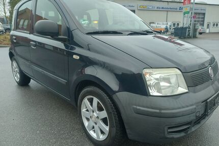 Fiat New Panda Gebrauchtwagen