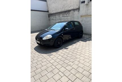Fiat Punto Gebrauchtwagen
